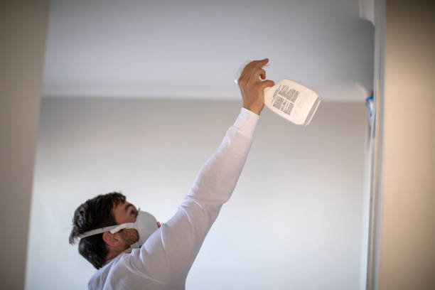 Certified Mold Removal in Dunkirk, MD