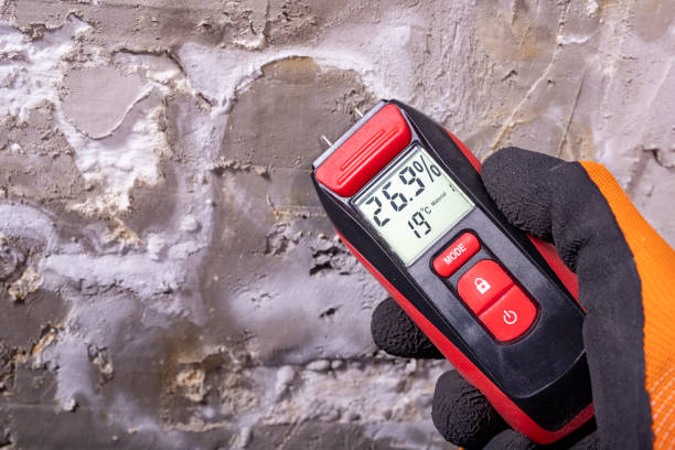 Best Certified Mold Removal  in Dunkirk, MD